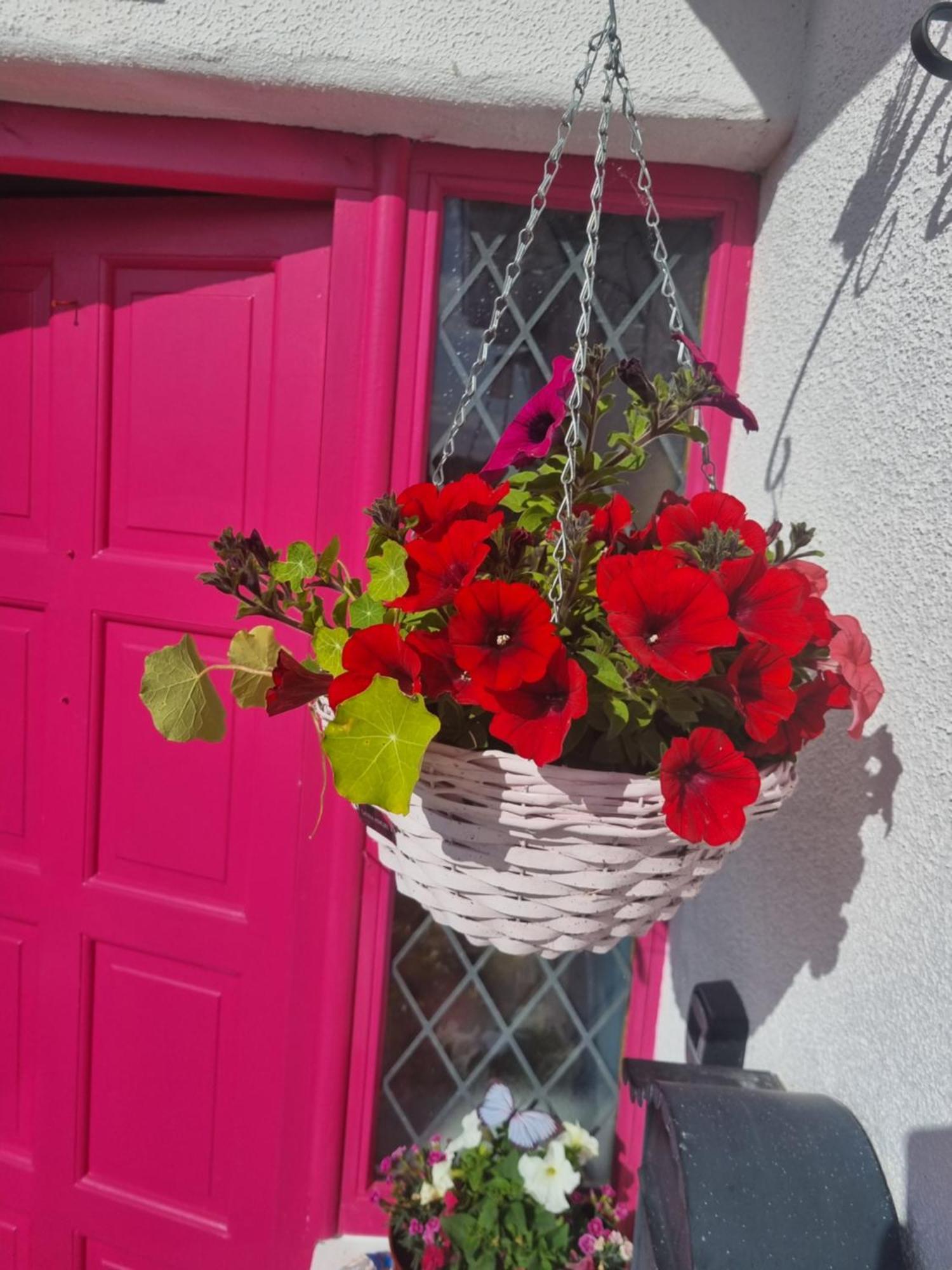 Apartamento The Pink Door Killala Exterior foto
